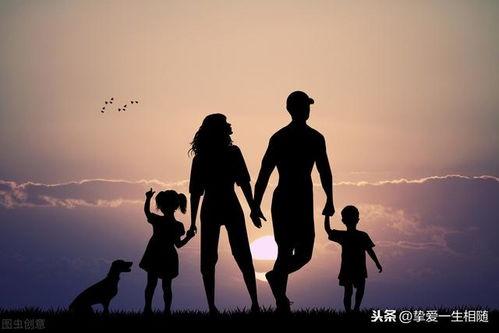 亲情的抉择,爱与责任的较量